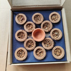 Nhang sambrani